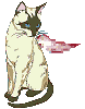 chat_264