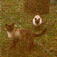 image004.gif