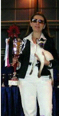image017.gif