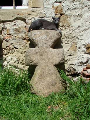 116.JPG