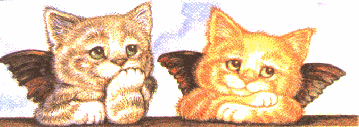 image015