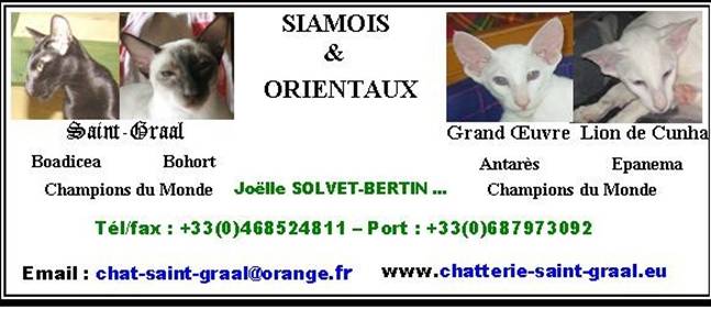 carte de visite 2014 BANNIERE.jpg