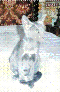 image007