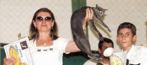 image006